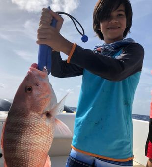 Snapper in Madeira Beach, FL